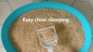 okocat natural wood litter clumps solid for easy scooping