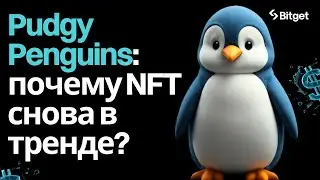 Феномен Pudgy Penguins на Solana
