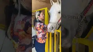 دەروونناسی، دەرونزانی، دکتۆر پگاه قسەی دڵی هەموانی کرد
