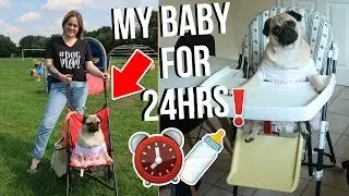 ⏰ 24 HOURS TREATING MY DOG AS A BABY! *cute pug* 🐶