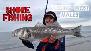 Shore fishing - PB bass in Western Wales