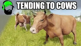 Farming Simulator 17 - Tending to animals - Cows