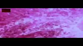 UNIGLORY - Misinterpreted Soul