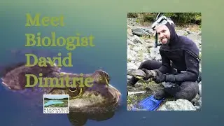 Lunch With A Scientist: David Dimitrie on behavioral interactions in frogs