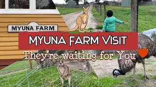 Myuna Farm Fun | Victoria, Australia | Jarrell Jet @Myuna Farm