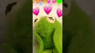 Untitled video