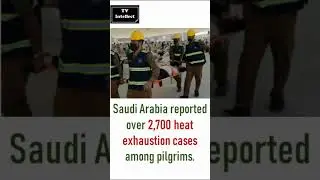 Hajj 2024 | Tragic, over 900 Pilgrims Die, Severe Heat Blamed