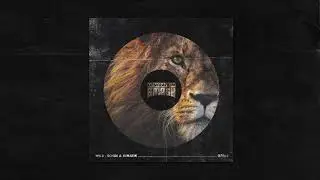 SCNDL & Dimatik - Wild