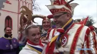 Fastnachtsumzug in Seligenstadt