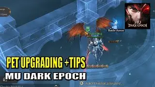 How to Upgrade Pet & Tips MU: Dark Epoch (English Subs)