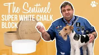The Sentinel H11 Super White Chalk Block | TRANSGROOM