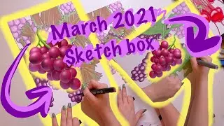Drawing Grapes 🍇 | March 2021 Sketchbox |