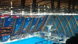 FINA world water championships. Diving. Females. 3m springboard. Last dive of the golden medalist