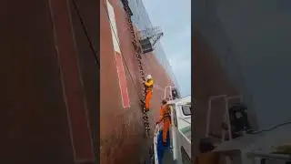 MF SURVEY surveyor off #seatransportshipspotting #shorts #surveyor #shipping #shipspotting #ocean
