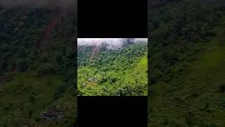 Buxwaha जंगल की  कहानी #shorts #facts #buxwaha #forest #diamond #viral