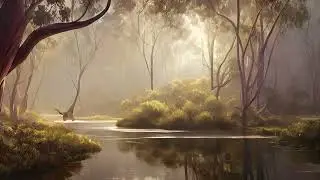 Australian bushland and billabongs ambient music to relax, study and sleep 🏞️🎶💤