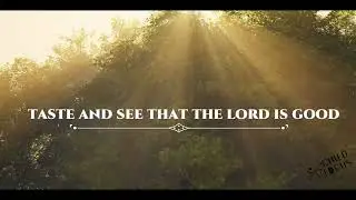 GASTRONOMICAL VBS | DAY 5 SONG | BANQUET  | CHILD FOCUS INDIA