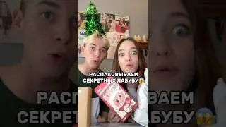 СЕКРЕТНЫЕ ЛАБУБУ😱КВИНКА И ФИЛ НЕ ОЖИДАЛИ ЧТО&hellip;😳(смотри до конца) #роблокс #игры #смешное #квинка