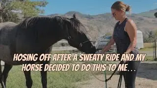 I guess he thought I looked like I needed some cooling down too 😂