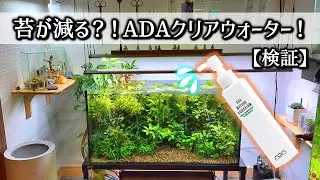 水槽の苔でお悩みの方へ！ADAクリアウォーター！