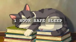Falling Asleep in a Safe Room 💤 Cat Purr Sounds & Rain for Deep Sleep (1 Hour)