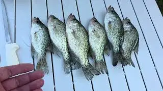 Cats and Crappie fish.