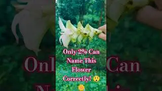 Only 2% Can Name This Flower Correctly! 😲🌼 #FlowerChallenge #GuessTheFlower