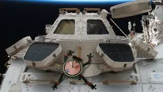 Crazy Engineering: Gecko Gripper #NASA