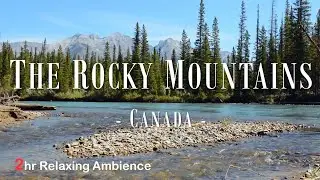 Canadian Rocky Mountain Ambience Sounds, Bow River Banff, HD 1080p Nature Video, Sleep/ Relax/ Study