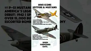 WWII Fighter Legends: Spitfire vs P-51 Mustang ✈️🔥 #shorts