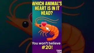 Which Animal's heart is in it's head? | Test Your Knowledge | THINK TIDE | #quiz #dailyquiz #iqtest