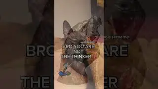 Bro You Are Not The Thinker
