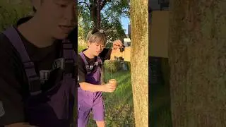 PUT CARDBOARD WATER ON A TREE！#asmr