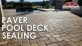 Paver Pool Deck Sealing┃Efflorescence Treatment