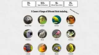 how to build a birdcage scaffold