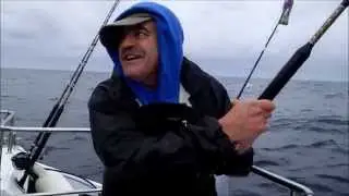 White water sharking part 1       5mins