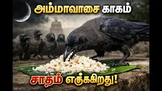 தை அமாவாசையில் காகத்திற்கு சாதம் வைக்கும் போது இந்த தவறை மட்டும் செய்யாதீங்க எச்சரிக்கை !
