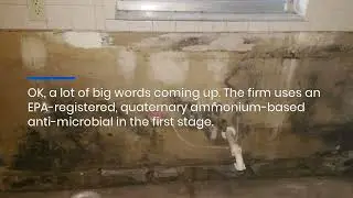 Tampa Bay Safe Mold Removal From Homes: Licensed Contractor Uses Anti-Microbial System