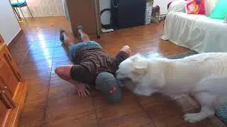 Dog interrupts workout: Funny Dog Bailey