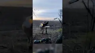 Can Soldiers Fire Missiles From The Shoulder