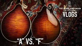TME Vlogs: A5 vs. F5 Mandolin
