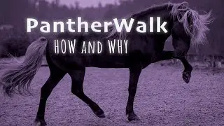 Teaching Pantherwalk
