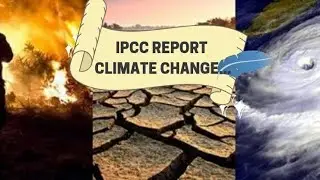 IPCC (Intergovernmental Penal on Climate Change) Report... (01/03/2022)