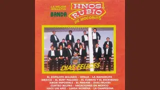 El Zopilote Mojado
