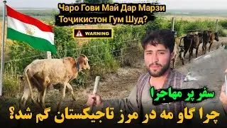 سفر به قریه، مرز میان افغانستان و تاجیکستان🇦🇫🇹🇯 | Travel to tajik village
