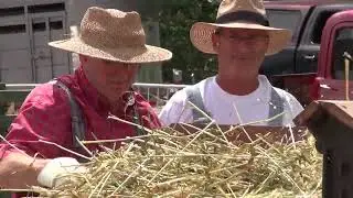 Francis Tremblay avec un moulin à battre Forano entraîné par un engin stationnaire International LB.