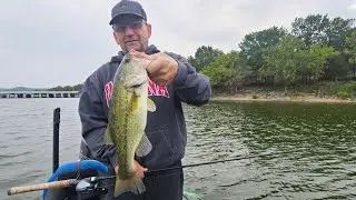 Table Rock Lake Fishing Repkrt September 10th 2025 MJF Guide Service 