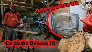 Fabrication de cage pour les cailles - les cailles l'hiver