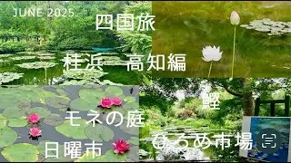 【番外編】四国旅②/高知/モネの庭/桂浜/ひろめ市場/日曜市/鰹/飛行機旅
