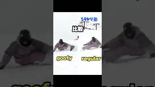 How does the regular version of 
